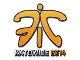 Fnatic | 2015年科隆锦标赛