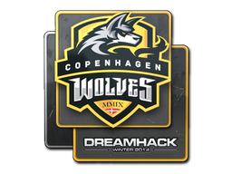 Copenhagen Wolves | 2014年 DreamHack 锦标赛