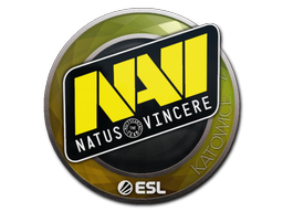 Natus Vincere | 2019年卡托维兹锦标赛