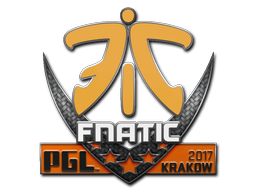 Fnatic | 2015年克卢日-纳波卡锦标赛