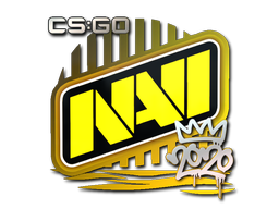 Natus Vincere | 2020 RMR