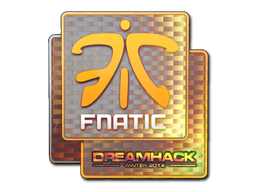 印花 | Fnatic（全息）| 2014年卡托维兹锦标赛