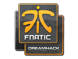 Fnatic | 2014年卡托维兹锦标赛