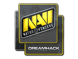 Natus Vincere | 2014年 DreamHack 锦标赛